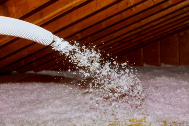 Best Commercial Insulation in Sioux Center, IA