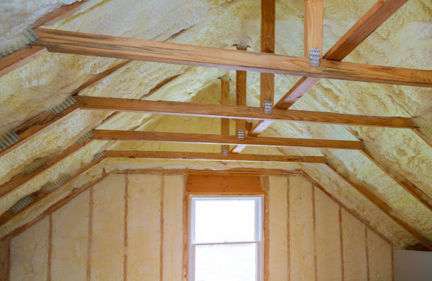 Best Spray Foam Insulation in Sioux Center, IA