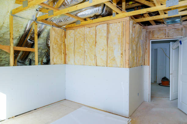 Best Eco-Friendly Insulation in Sioux Center, IA
