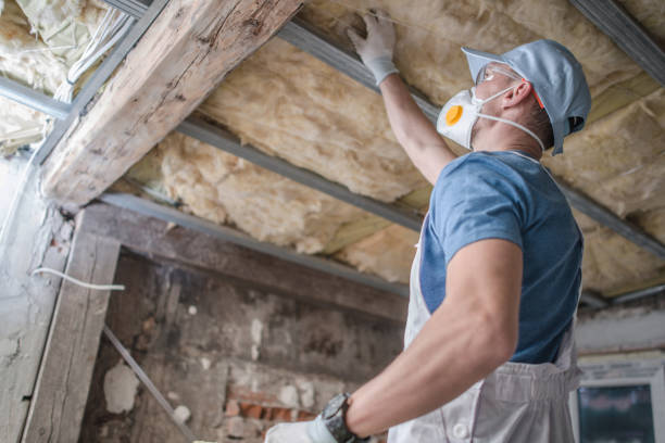 Best Cellulose Insulation in Sioux Center, IA