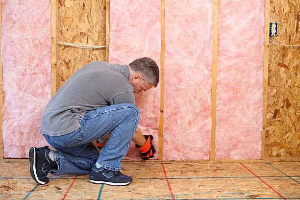 Professional Insulation Contractor in Sioux Center, IA