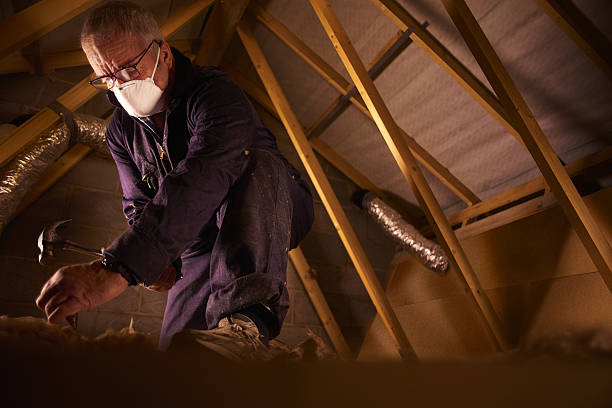 Types of Insulation We Offer in Sioux Center, IA